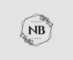 första nb feminin logotyp. användbar för natur, salong, spa, kosmetisk och skönhet logotyper. platt vektor logotyp design mall element.