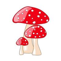 Cartoon Amanita Muscaria, Pilz-Symbol. roter Pilz mit weißen Punkten. giftiges vergiftetes Essen Wilde Waldpilze im Herbst Flaches Design der Vektorillustration vektor