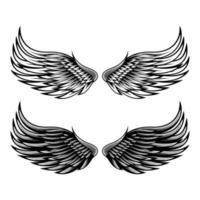 illustration av vingar vektor design