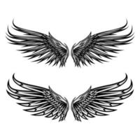 vingar ängel isolerat vektor design