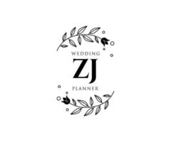 zj initialer brev bröllop monogram logotyper samling, hand dragen modern minimalistisk och blommig mallar för inbjudan kort, spara de datum, elegant identitet för restaurang, boutique, Kafé i vektor