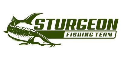 stör fische fischen logo, springende fische designvorlage vektorillustration. großartig, um es als Ihr beliebiges Fischereiunternehmenslogo zu verwenden vektor
