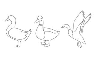 vektor, modernes, minimalismus, linie, kunst, tierfarm, ente, zeichnung, illustration. vektor