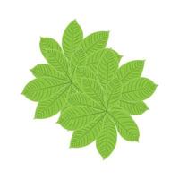 Blatt Logo Grünpflanze Design Blätter von Bäumen Produktmarke Vorlage Illustration vektor
