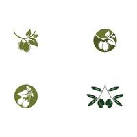 Extra Olivenöl Symbol Vektor Illustration