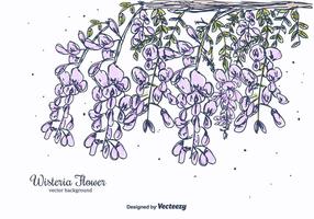 Hand Drawn Wisteria Blume Vektor Hintergrund