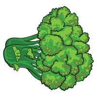 Öko-Brokkoli-Symbol, Cartoon-Stil vektor