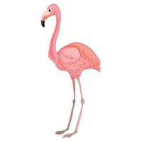 Flamingo-Symbol, Cartoon-Stil vektor