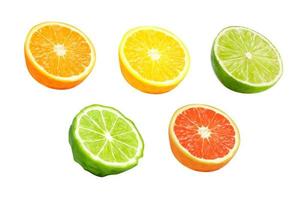 Zitrone, Orange, Grapefruit und Bergamotte vektor