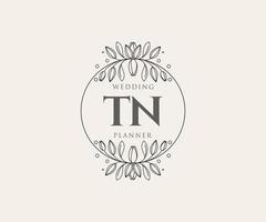 tn initialen brief hochzeitsmonogramm logos sammlung, handgezeichnete moderne minimalistische und florale vorlagen für einladungskarten, save the date, elegante identität für restaurant, boutique, café im vektor