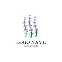 frischer Lavendel-Blume-Symbol-Logo-Vektor vektor