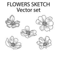 uppsättning av öppnad blomma knoppar. fem ritad för hand använder sig av skiss Metod av svart kontur blommor i en realistisk stil vektor