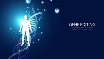 abstrakte wissenschaft menschliche biochemische experimente, dna-konzepte, in vitro, genbearbeitung, gentransplantationen oder medikamente auf blauem hintergrund. vektor