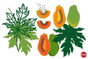 Vektor handgezeichnete Papaya-Früchte und Blätter. tropischer elementsatz. Pawpaw verschiedene Formen mit Samen.