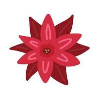 weihnachtsstern rote blume des weihnachtssterns - flaches gekritzel des einfachen handabgehobenen betrages. Vektor-Illustration. festliches winterblumenclipartelement lokalisiert auf weiß vektor