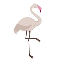 flamingo fågel djur- vektor illustration ikon