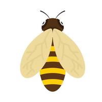 Biene Tier Vektor Illustration Symbol