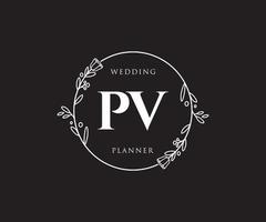 anfängliches pv feminines logo. verwendbar für Natur-, Salon-, Spa-, Kosmetik- und Schönheitslogos. flaches Vektor-Logo-Design-Vorlagenelement. vektor