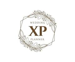 xp brief hochzeitsmonogramm logos sammlung, handgezeichnete moderne minimalistische und florale vorlagen für einladungskarten, save the date, elegante identität für restaurant, boutique, café im vektor