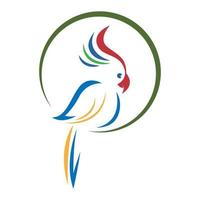 papegoja logotyp ikon design vektor