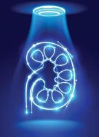Illustration der menschlichen Niere, bestehend aus leuchtenden weißen Kurven auf blauem Hintergrund mit leuchtenden Punkten, die Medizintechnik darstellen. vektor