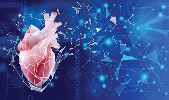 3D-Darstellung eines menschlichen Herzens in einem realistischen Stil mit einem Bild eines äußeren schützenden Polyblocks isoliert auf blauem Hintergrund. vektor