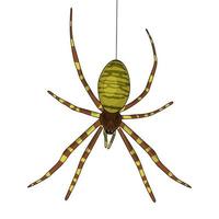 en Spindel är hängande på de webb. vektor illustration av de Spindel.