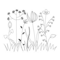 Silhouetten einfacher Wildblumen sind mit schwarzen Linien auf weißem Hintergrund gezeichnet. Logodesign, Flyer, Markenbuch vektor