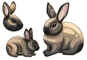 eine reihe von karikaturgezeichneten tieren. Kaninchenrasse American Sable Rabbit vektor