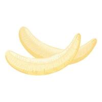 sauberer Bananen-Symbol-Cartoon-Vektor. tropisches Objekt vektor