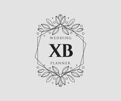 xb initialer brev bröllop monogram logotyper samling, hand dragen modern minimalistisk och blommig mallar för inbjudan kort, spara de datum, elegant identitet för restaurang, boutique, Kafé i vektor