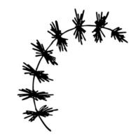 hand dragen gran gren ClipArt. kvist av barr- träd klotter. jul och vinter- design element vektor