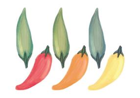 Vector Hand Drawn Peppers Pattern