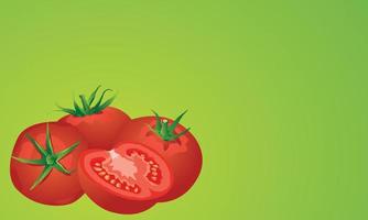 frischer Tomatenvektor auf grünem Hintergrund vektor