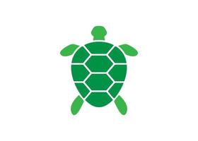 sköldpadda ikon logotyp design mall vektor symbol