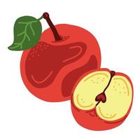 äpple frukt. hela och halv äpple med blad. vektor