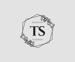 första ts feminin logotyp. användbar för natur, salong, spa, kosmetisk och skönhet logotyper. platt vektor logotyp design mall element.