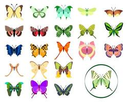 großer Vektorsatz, Sammlung von Schmetterlingen auf weißem Hintergrund. isolierter karikaturikonensatz, dekoratives insekt. vektor