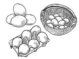 satz skizze und handgezeichnetes ei und korb in eiern vektor