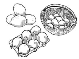 uppsättning av skiss och hand dragen ägg och korg i ägg vektor