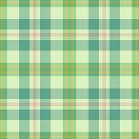 Textil-Vektor-Plaid. Hintergrundmuster Stoff. Tartan-Check nahtlose Textur. vektor