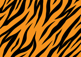 Tiger Texture Bakgrund vektor