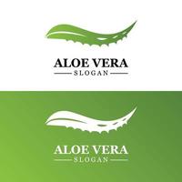 aloe vera logo, gesundheitsblattvektor, design geeignet für schönheitssalon, organisches recycling, hautgesundheitsblatt vektor