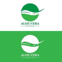 aloe vera logotyp, hälsa blad vektor, design lämplig för skönhet salong, organisk återvinning, hud hälsa blad vektor