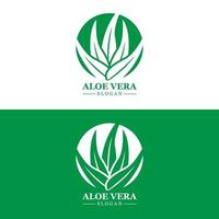 aloe vera logotyp, hälsa blad vektor, design lämplig för skönhet salong, organisk återvinning, hud hälsa blad vektor