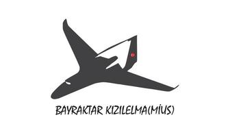 Bayraktar Cuas - Kampfsystem für unbemannte Flugzeuge. vektor