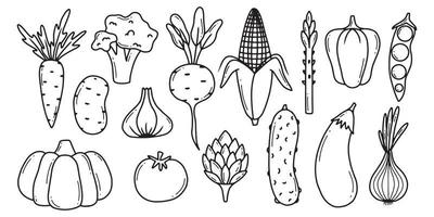 klotter grönsaker vektor uppsättning. samling av grönsaker broccoli, majs, peppar, lök, vitlök, sparris. ritad för hand stil isolerat på vit bakgrund.