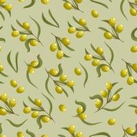 oliver ljus sommar vegetabiliska vektor illustration. sömlös mönster i trendig grön färger. för oliv olja förpackning, tapet, tyg utskrift, omslag.
