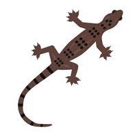 gecko, söt färgrik illustration vektor