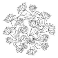 tulpaner blomma hand dragen vektor